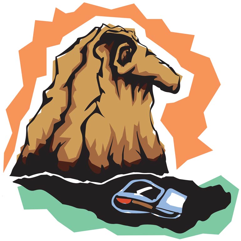 Image Alt Text